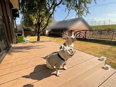 愛犬の足にも優しいウッドデッキ空間