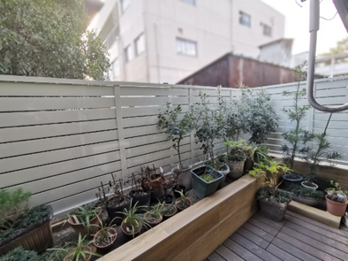 視線と日差しを遮るホワイトガーデン